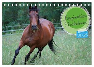 Faszination Trakehner (Tischkalender 2025 DIN A5 quer), CALVENDO Monatskalender