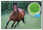 Faszination Trakehner (Tischkalender 2025 DIN A5 quer), CALVENDO Monatskalender