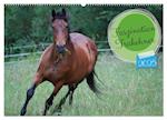 Faszination Trakehner (Wandkalender 2025 DIN A2 quer), CALVENDO Monatskalender