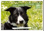 Das coole Hunde ABC (Tischkalender 2025 DIN A5 quer), CALVENDO Monatskalender