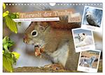 Tierwelt der Tundra (Wandkalender 2025 DIN A4 quer), CALVENDO Monatskalender