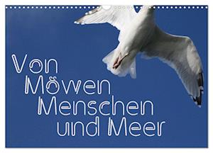 Von Möwen, Menschen und Meer (Wandkalender 2025 DIN A3 quer), CALVENDO Monatskalender