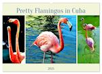 Pretty Flamingos in Cuba (Wandkalender 2025 DIN A2 quer), CALVENDO Monatskalender