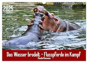 Das Wasser brodelt - Flusspferde im Kampf (Wandkalender 2025 DIN A3 quer), CALVENDO Monatskalender