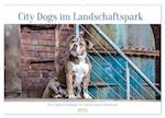 City Dogs im Landschaftspark (Wandkalender 2025 DIN A2 quer), CALVENDO Monatskalender