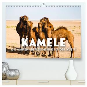 Kamele - die wahren Überlebenskünstler der Wüste. (hochwertiger Premium Wandkalender 2025 DIN A2 quer), Kunstdruck in Hochglanz