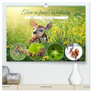 Tiere in freier Wildbahn by VogtArt (hochwertiger Premium Wandkalender 2025 DIN A2 quer), Kunstdruck in Hochglanz