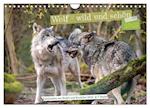 Wolf - wild und schön (Wandkalender 2025 DIN A4 quer), CALVENDO Monatskalender