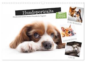 Hundeportraits, Hunde sind unsere besten Freunde by VogtArt (Wandkalender 2025 DIN A3 quer), CALVENDO Monatskalender