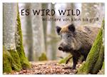 ES WIRD WILD Wildtiere von klein bis groß (Wandkalender 2025 DIN A2 quer), CALVENDO Monatskalender