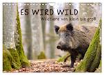 ES WIRD WILD Wildtiere von klein bis groß (Wandkalender 2025 DIN A4 quer), CALVENDO Monatskalender