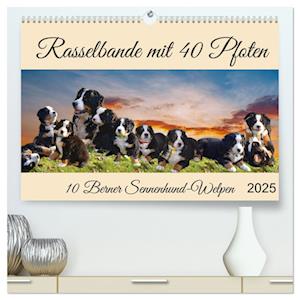 Rasselbande mit 40 Pfoten (hochwertiger Premium Wandkalender 2025 DIN A2 quer), Kunstdruck in Hochglanz