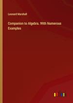 Companion to Algebra. With Numerous Examples