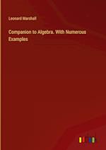 Companion to Algebra. With Numerous Examples