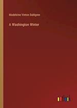 A Washington Winter