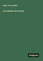 Les oiseaux de bocace