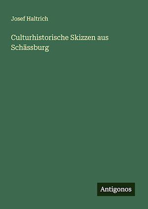 Culturhistorische Skizzen aus Schässburg