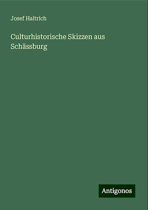 Culturhistorische Skizzen aus Schässburg