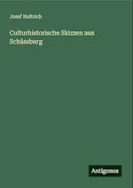 Culturhistorische Skizzen aus Schässburg