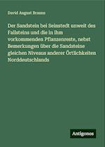 Der Sandstein bei Seinstedt unweit des Fallsteins und die in ihm vorkommenden Pflanzenreste, nebst Bemerkungen über die Sandsteine gleichen Niveaus anderer Örtlichkeiten Norddeutschlands