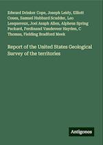 Report of the United States Geological Survey of the territories