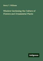 Window Gardening the Culture of Flowers and Ornamental Plants