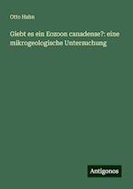 Giebt es ein Eozoon canadense?: eine mikrogeologische Untersuchung