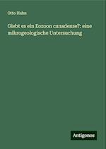 Giebt es ein Eozoon canadense?: eine mikrogeologische Untersuchung