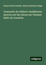 Grammatik der biblisch-chaldäischen Sprache und des Idioms des Thalmud Babli: ein Grundriss