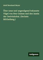 Über neue und ungenügend bekannte Vögel von Neu-Guinea und den Inseln der Geelvinksbai. (Sechste Mittheilung.)