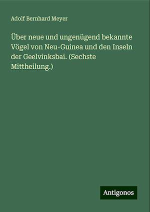 Über neue und ungenügend bekannte Vögel von Neu-Guinea und den Inseln der Geelvinksbai. (Sechste Mittheilung.)