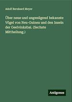 Über neue und ungenügend bekannte Vögel von Neu-Guinea und den Inseln der Geelvinksbai. (Sechste Mittheilung.)