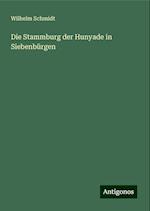 Die Stammburg der Hunyade in Siebenbürgen