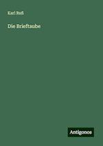 Die Brieftaube