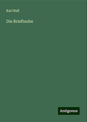 Die Brieftaube