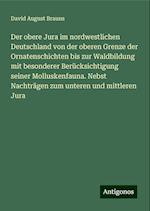 Der obere Jura im nordwestlichen Deutschland von der oberen Grenze der Ornatenschichten bis zur Waldbildung mit besonderer Berücksichtigung seiner Molluskenfauna. Nebst Nachträgen zum unteren und mittleren Jura