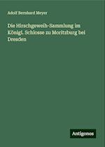 Die Hirschgeweih-Sammlung im Königl. Schlosse zu Moritzburg bei Dresden