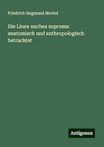 Die Linea nuchea suprema: anatomisch und anthropologisch betrachtet