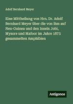 Eine Mittheilung von Hrn. Dr. Adolf Bernhard Meyer über die von ihm auf Neu-Guinea und den Inseln Jobi, Mysore und Mafoor im Jahre 1873 gesammelten Amphibien