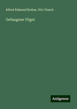 Gefangene Vögel