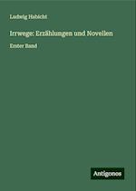 Irrwege: Erzählungen und Novellen