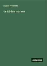 Un été dans le Sahara