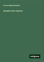 Annual town reports