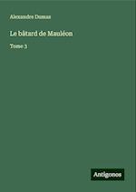 Le bâtard de Mauléon