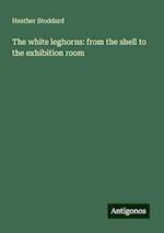 The white leghorns: from the shell to the exhibition room