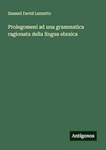 Prolegomeni ad una grammatica ragionata della lingua ebraica