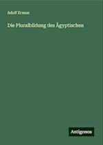 Die Pluralbildung des Ägyptischen