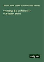 Grundzüge der Anatomie der wirbellosen Thiere