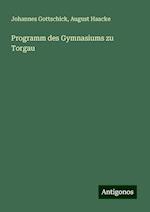 Programm des Gymnasiums zu Torgau