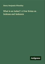 What is an Index?: A Few Notes on Indexes and Indexers